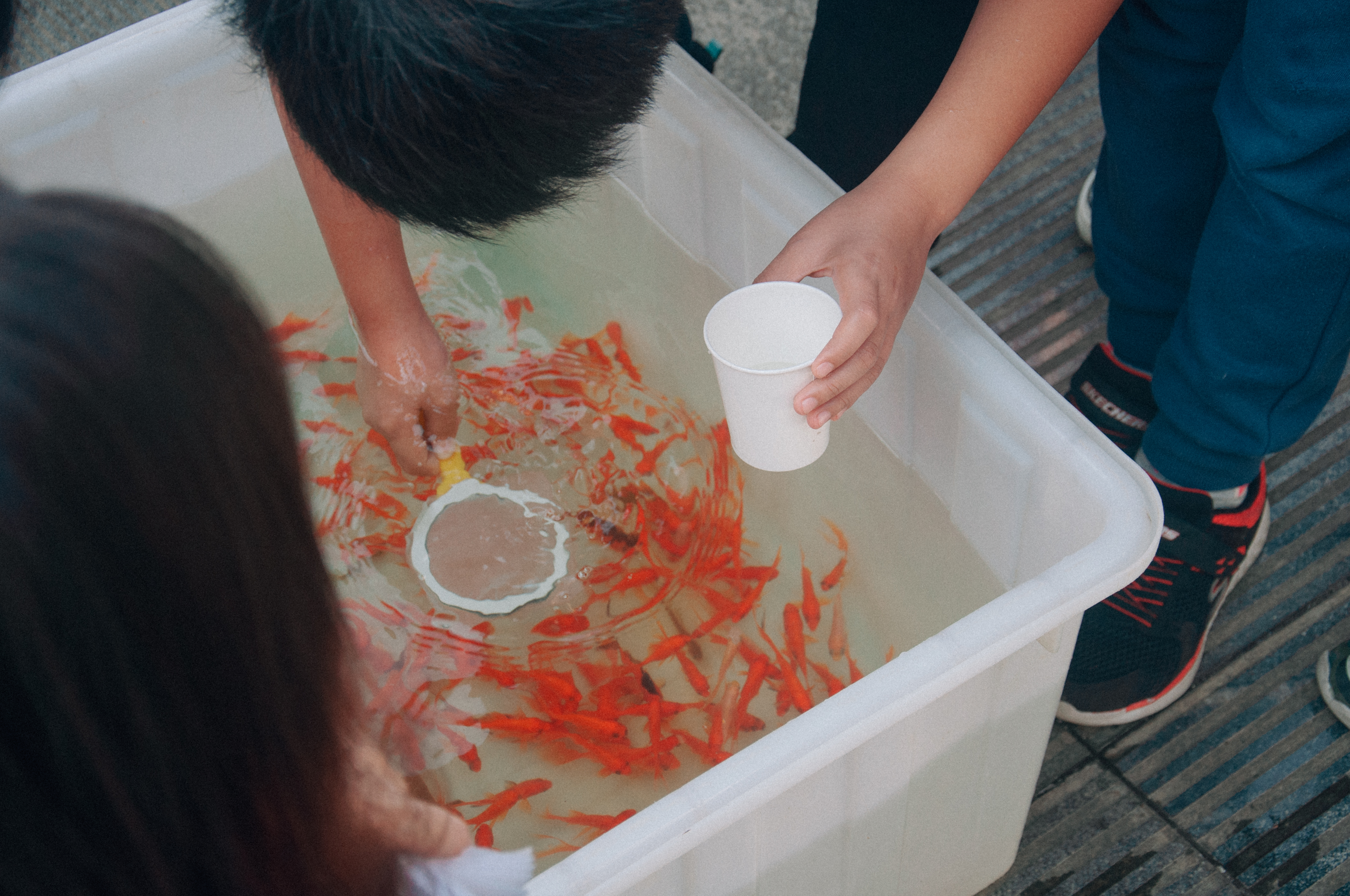学生正在进行纸网捞鱼(王毓麟 摄)